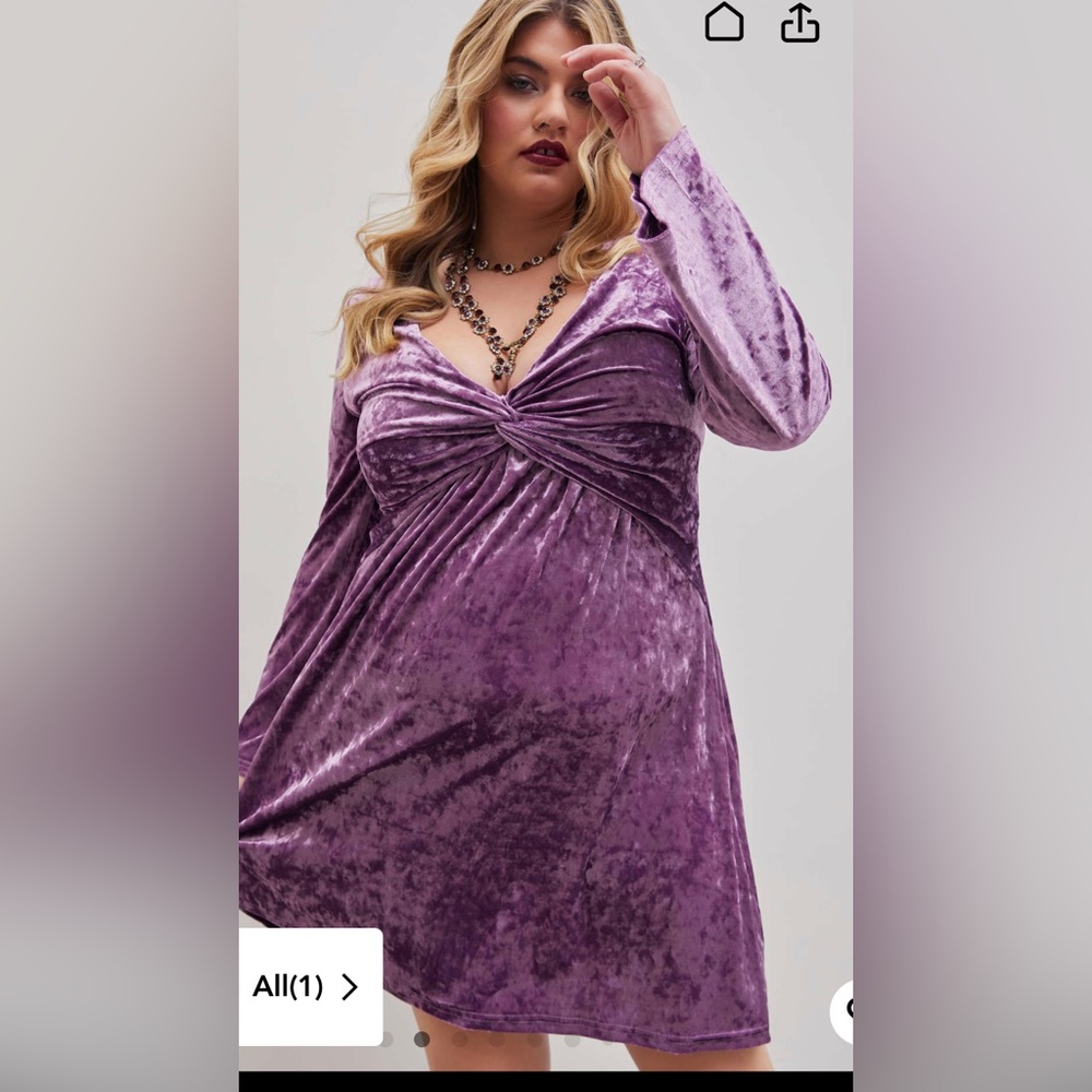 Purple velvet dress. Worn once, 3x. Cider brand